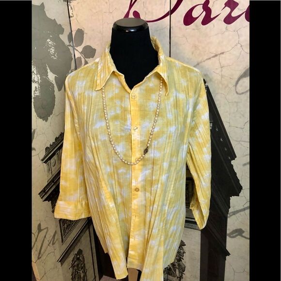 Beautiful blouse by CJ Banks size 1X - Picture 1 of 1
